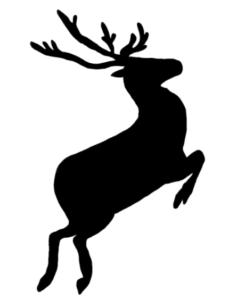 reindeer
